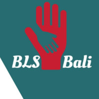 BLS Internships Bali