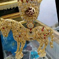 Shani Kumar Dhuriya