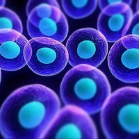 Global Stem Cells Group