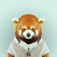 苏冠琪