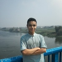 Hatem Elshalakami