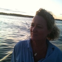 Traci Anderson