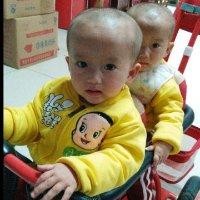 朱晓峰