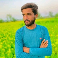 Birthday Video Creator