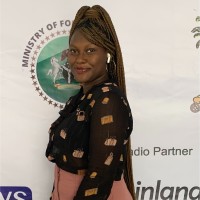 Sesi Iroko