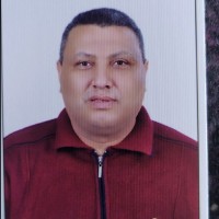 Mahmoud Aboelata