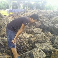 Anas Junjungan
