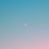 SK Moon