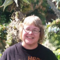 Debra Tippett