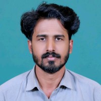 Dinesh P P