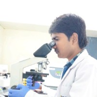 Prince Kumar