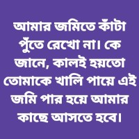 Md. Abu Jafor Obaidullah