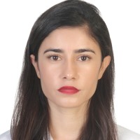 Hulya Cinar
