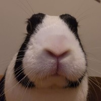 Ethan Ficek