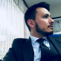 Fabio Andres Garzon Zarate