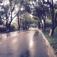 葛成海