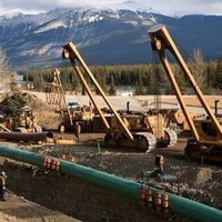 Corey Palmer C.P.W.I.