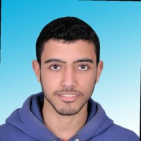 Amr Adel