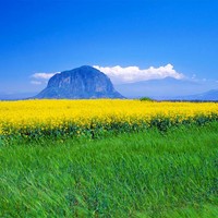 郑元良
