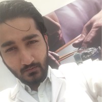Syed Hisam