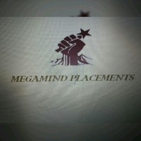 Megamind Placements Services