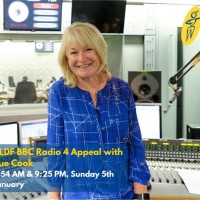 Sue Cook