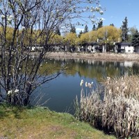 Rockcliffe Apartment Homes