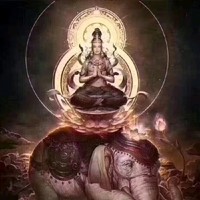 陈泰吉