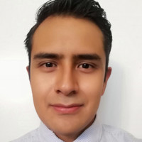 Jose Ramón Flores Bravo