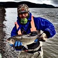 Ernesto A. de la Hoz