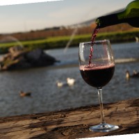 Jesus Cardoso Murillo