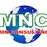 MN CONSULTING CONGO