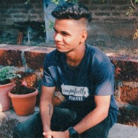 Robin Fernandes