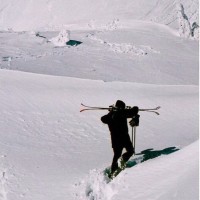 Tom McKay