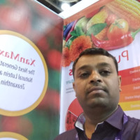Basavaraju S