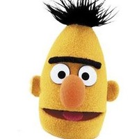 Bert Creactiv