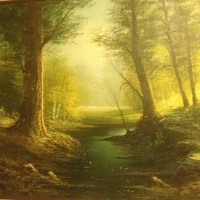 Daniel Drotleff