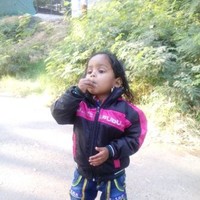 Hardik Panchal