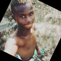 Muhammad S Jallow