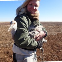 Kathryn Brautigam, Awb®