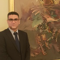 Dr Walid Sobhy