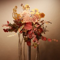 Thu Le