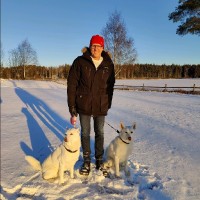 Peter Nyström