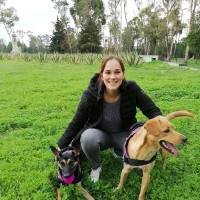 Minerva Paola Garza Altamirano