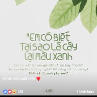 Tran Quang Huy