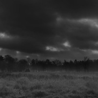 Haris Dedic