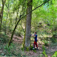 🌳Jean-Charles LEJEUNE🌲🪵