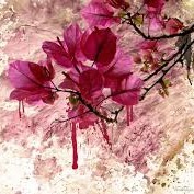 Cristine Emily