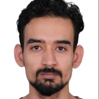 mohd ali naqvi