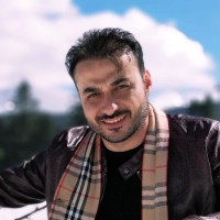 Alaa Walid